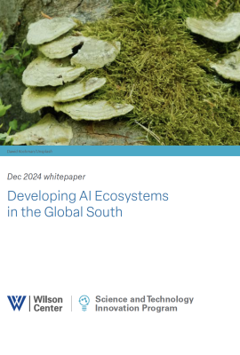 Front page of the publication: Developing AI Ecosystems in the Global South with a picture of mushrooms on the top