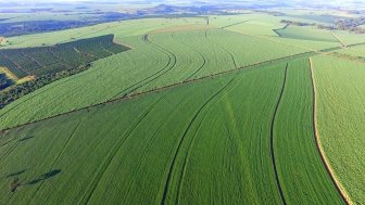 Sustainable Agriculture in the Tropics: A Conversation on Best Practices with Brazil’s Minister of Agriculture Tereza Cristina