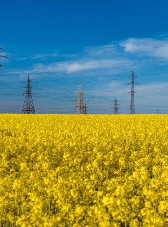 Ukraine electricity