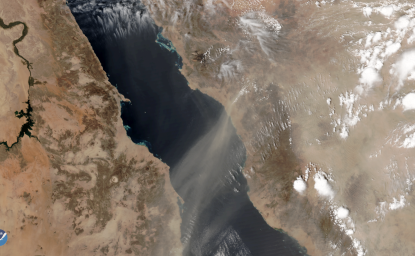Dust Storm Over the Red Sea