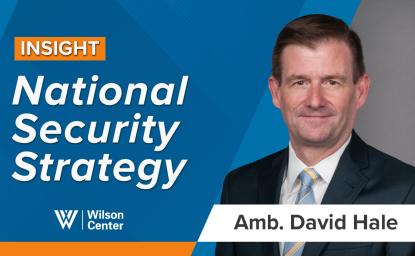 Thumbnail for Amb. David Hale NSS video