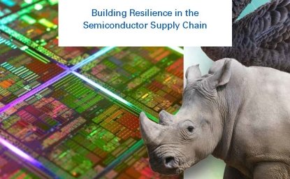 Of Swans and Rhinos Report Cover