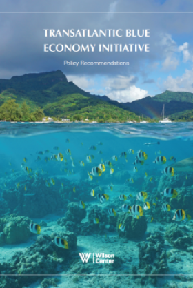 Blue economy report cover