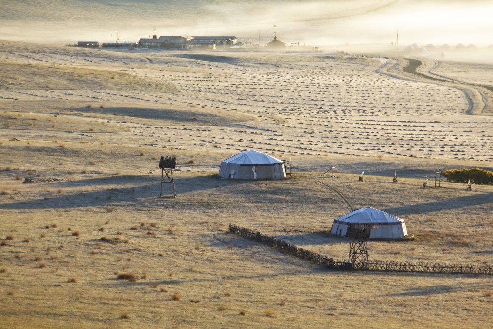 Chinese Grassland