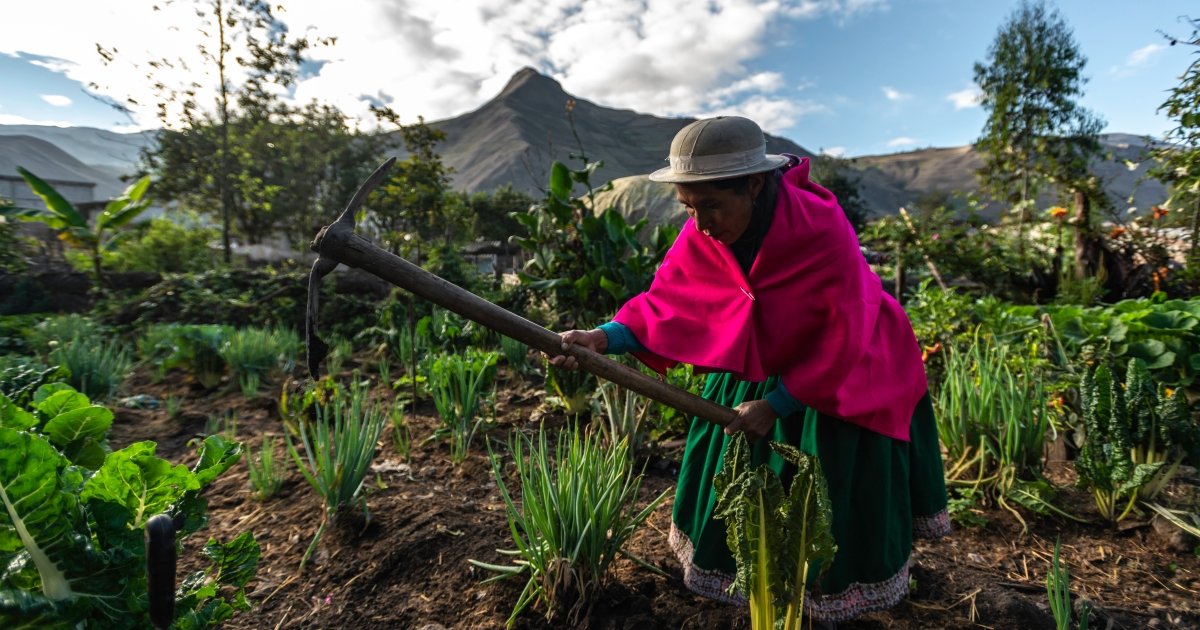 The Use Of Indigenous Traditional Knowledge In Climate Change ...