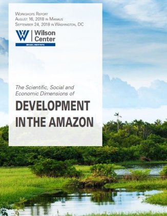 Cover - Workshop Report - Amazon Development