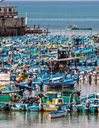 Header Image - Ecuador on the Frontier of a Changing Ocean: Understanding the Impacts of Illegal, Unreported, and Unregulated Fishing on Ecuador’s International Economic Relations