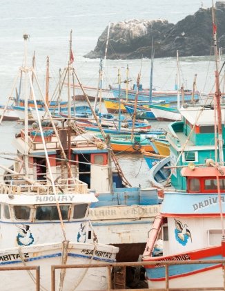 Header Image - Artisanal Squid Fishing in Peru Threatened by International Fleets