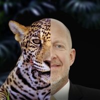 Warren Levy Headshot