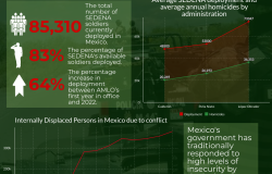 Infographic | The Militarization of Public Security in Mexico 