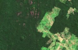 Satellite image of deforestation in Carajas, Brazil (2016).