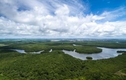 Aerial Photo of the Brazilian Amazon