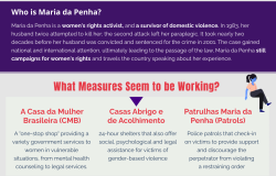 Maria da Penha Infographic