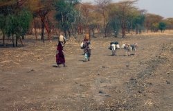 Women Carrying Earthenware vessels in Sudan